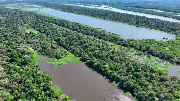 Stunning landscape of Amazon Forest at Amazonas State Brazil.