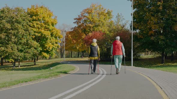 Women in Age Take Care of Their Health By Walking in Sunny Fall Park Rear View