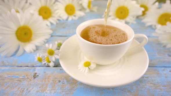 Composition with chamomile flowers and white cup of herbal tea