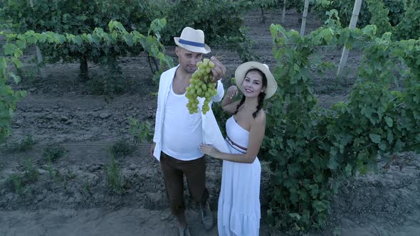 Harvesting, Drone View on Couple with Ripe Grapes Looks on Camera and Smiles at Countryside