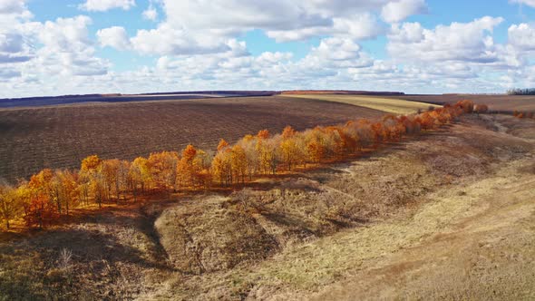 Aerial Photography Agro Field Autumn