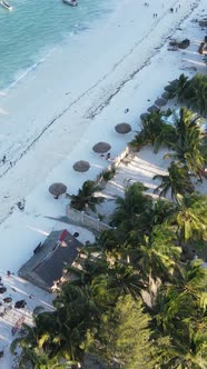 Zanzibar Tanzania  Aerial View of Houses Near the Coast Vertical Video