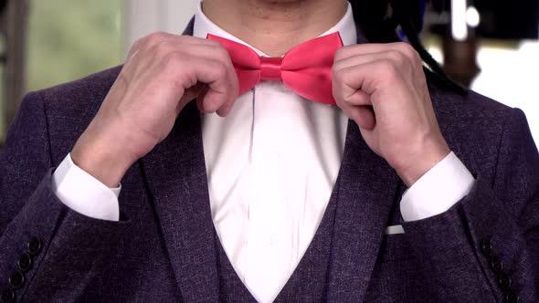 Stylish Elegant Man in a Suit Straightens His Bow Tie