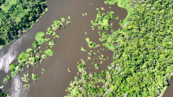 Stunning landscape of Amazon Forest at Amazonas State Brazil.