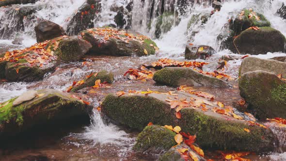 Large Boulders Overgrown with Moss at Waterfall