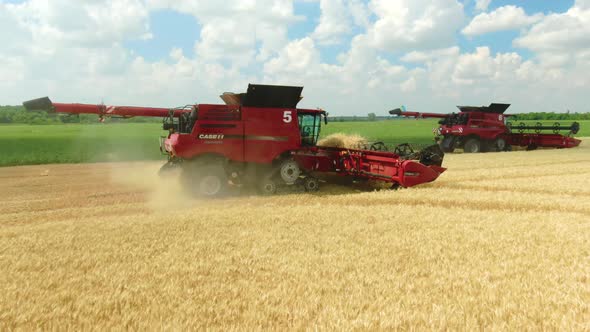 Modern Combine Harvesters are Operating in the Wheat Field Drone Footage