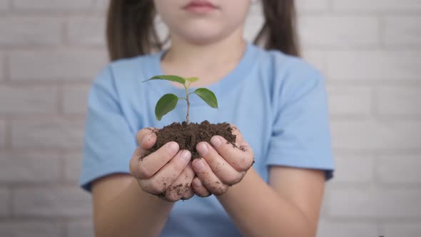 Child with seedlings.