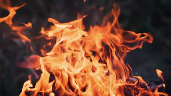 Vivid tongues of fire close-up. Orange background of the fire. Beautiful fire burns brightly.