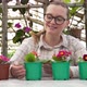 Young Farmer Inspects Flower Seedlings in Pots - VideoHive Item for Sale