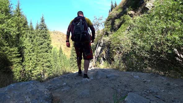 Travel Alone Through the Mountain Forest