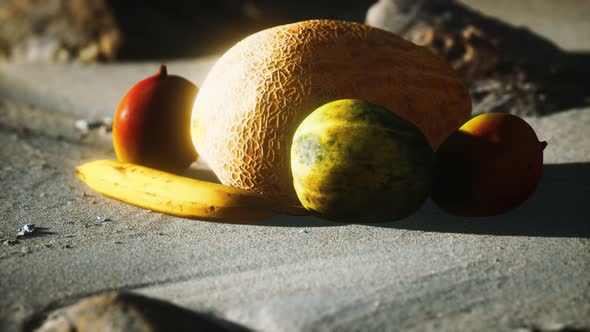 Desert Melon on the Sand Beach