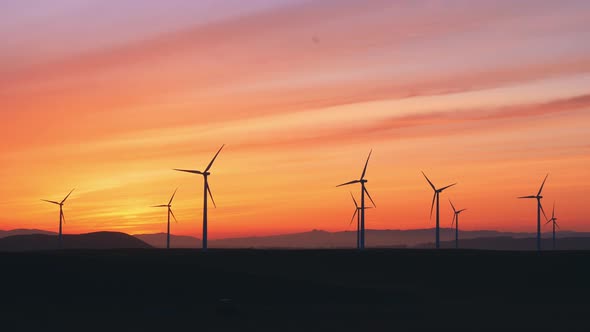 Wind Farm At The Sunset