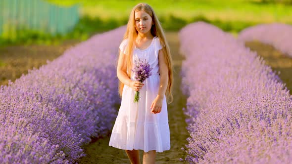 the Girl Walks Through the Lavender Field