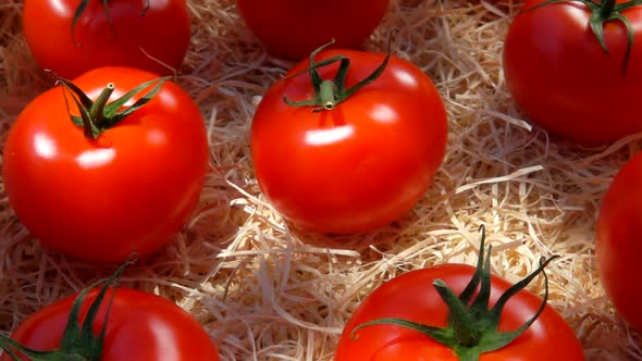 Ripe Juicy Red Tomatoes Lie in a Wooden Box