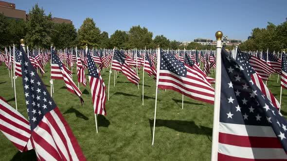 Walking through rows of American Flags blowing in the wind