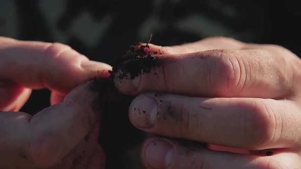 Fisherman Fixes the Earthworm on a Fishing Hook