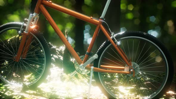 Mountain Bike on the Forest Path alt