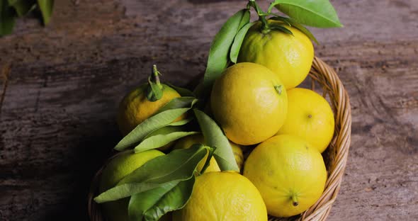 Basket of yellow Bergamot of Calabria 