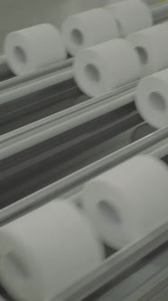 Conveyor in a Paper Mill