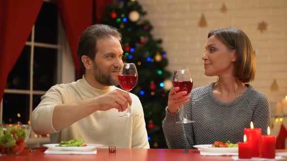 Happy Husband and Wife Drinking Wine on Christmas Eve