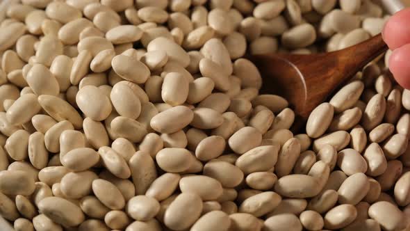 Dried white beans in bowl