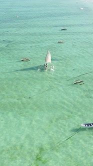 Vertical Video Boats in the Ocean Near the Coast of Zanzibar Tanzania