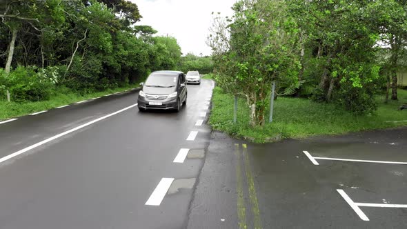 Beautiful Road Across the Island Forest Aerial View