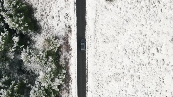 Aerial View of Snow Covered Trees in Forest and Winter Country Road with a Car.