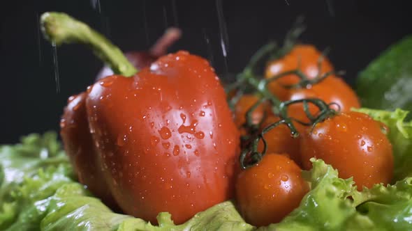 Splashes of Water Fall on the Tomatoes and Other Vegetables