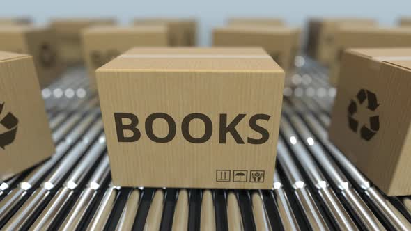 Carton Boxes with BOOKS Text Move on Roller Conveyor