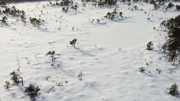 Aerial drone view on a snow-covered bog landscape. Recorded on a beautiful winter day while it is sn