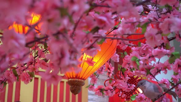 Red lantern decorated at artificial plum blossom 