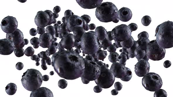 Burst of Blueberry in White Background with Alpha Channel