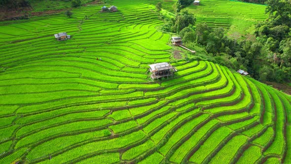 Aerial video of drones flying over rice terraces