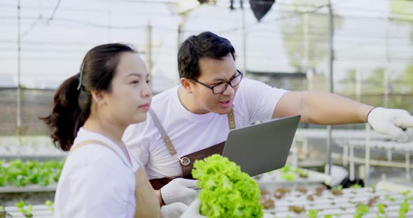 Asian farmer couple checking Organic hydroponic vegetable cultivation farm