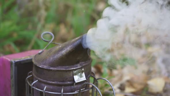 Beekeeping Tool Close Up