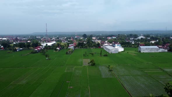 Aerial shot of a border between rice fields and residential areas