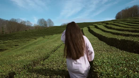 a Young and Stylish Woman Strolls Among the Tea Plantations in the Summer