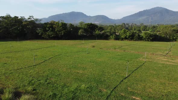 Aerial green field of grass with automatic watering system