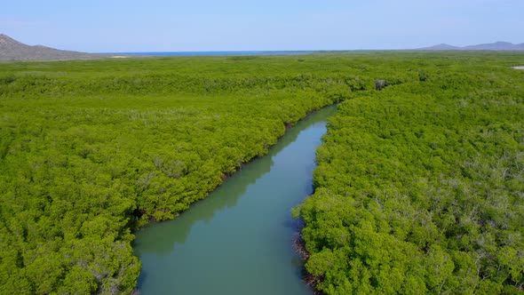 Biodiverse mangrove forest in Monte Cristi, Dominican Republic, aerial