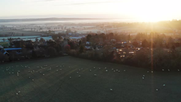 Aerial drone video of Typical English countryside and fields with sheep and a village