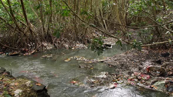 Plastic Waste Rubbish Floating in Forest River Water. Huge Dump in Tropical Mangrove Tree Jungle