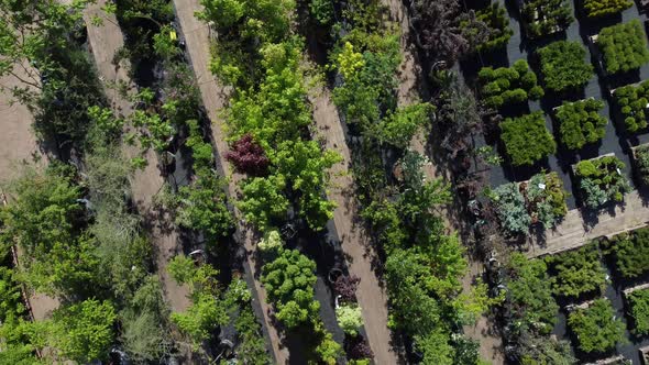 aerial view of garden shop. working people. potted plants