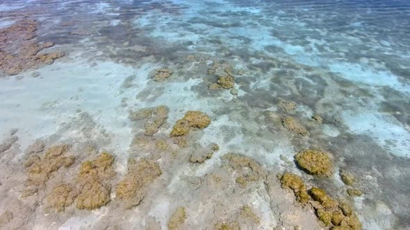 White Sandy Coral Reef in the Clear Turquoise Light Blue Sea of the Tropical Coastline
