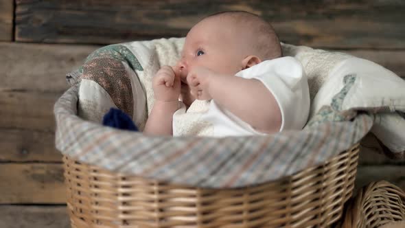 Basket with Baby.