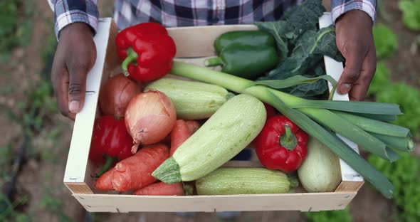 African farmer man holding wood box with fresh organic vegetables - Healthy food and harvest concept