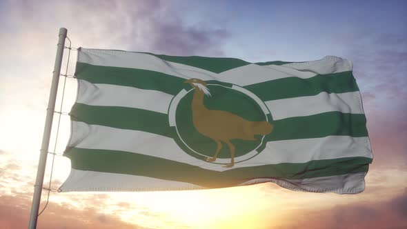 Wiltshire Flag England Waving in the Wind Sky and Sun Background