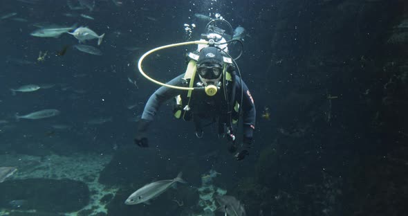 Scuba Diver In Wet Suit In Aquarium