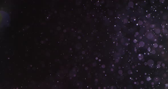 Purple Bubbles and Particles in Water Against Black Background