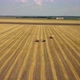 Aerial view: Tractor loading hay bales on the trailer. Cylindrical bundle of hay. Agriculture area - VideoHive Item for Sale